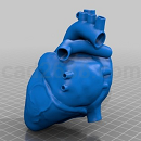 心脏3D打印模型2STL格式