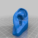 3D打印模型耳朵